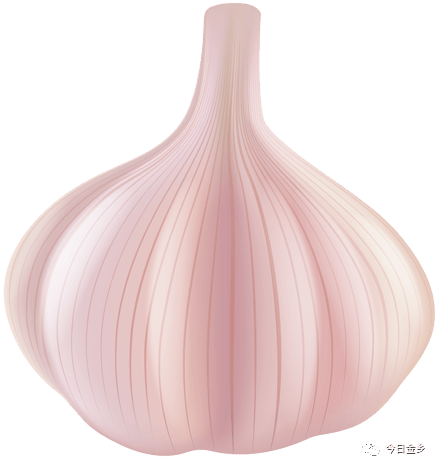 今日大蒜最新论坛，背景、事件与影响的深度探讨