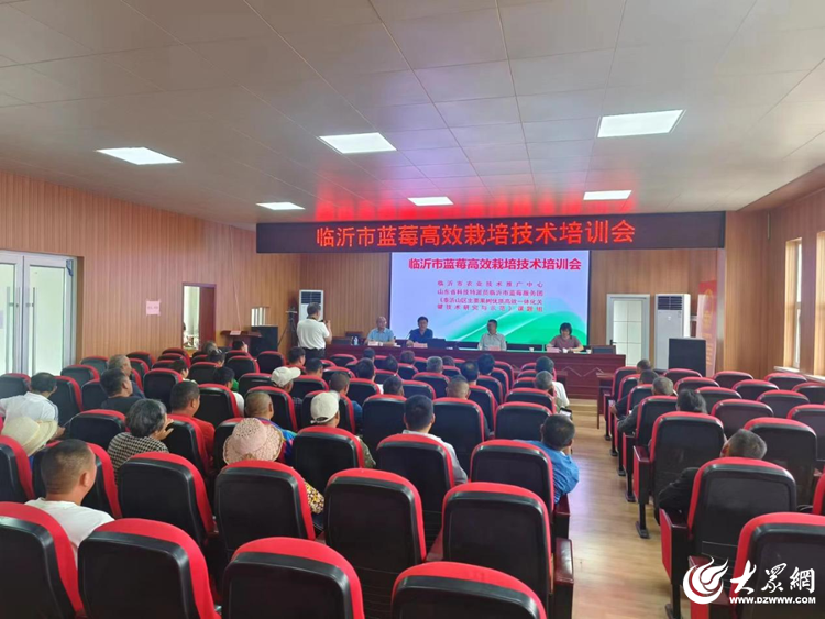 最新技术培训,启程技能之旅,自信铸就梦想之路