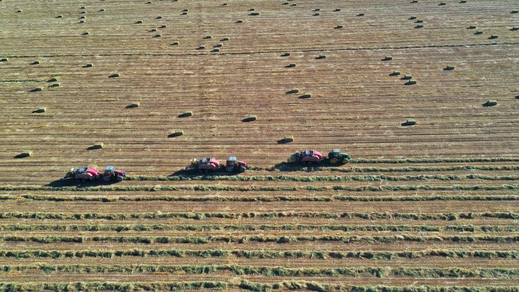 中牧山丹马场最新新闻与小巷特色小店的味蕾探索之旅