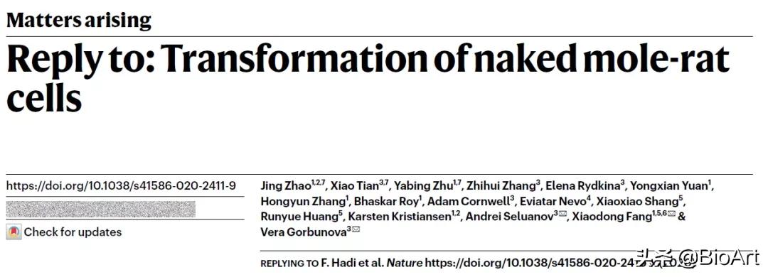 香港争鸣杂志最新动态，小巷中的隐藏宝藏揭秘