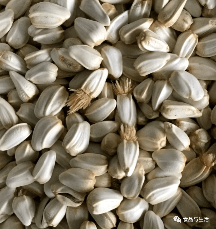 伊犁红花最新收购价，市场走势与产业深度分析