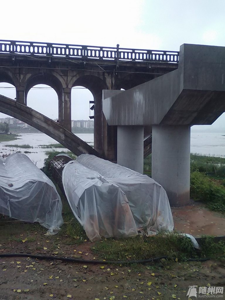 涢水一桥最新动态,时代桥梁,未来希望展望