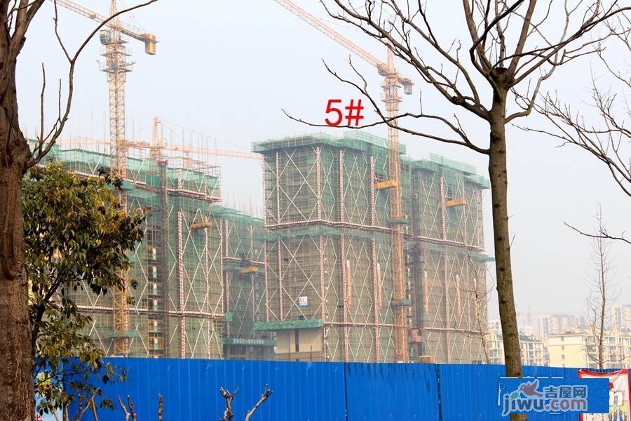 芜湖公园大道最新动态与消息🌳📣