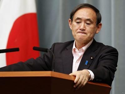 三道国际杨泳的最新动态更新或 三道国际杨泳最新资讯速递