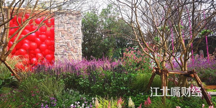 江北嘴世界花最新进展揭秘,小巷中的隐藏宝藏之花盛开在即
