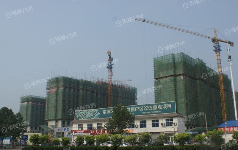 御澜湾冶河最新动态揭秘，小巷深处的隐藏瑰宝