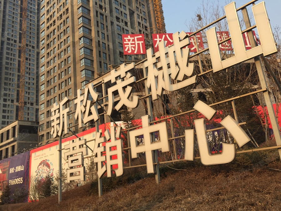 新松茂樾山最新动态,城市崛起与未来展望