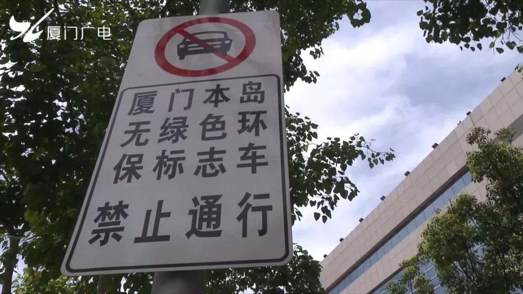 厦门限牌最新消息,爱与陪伴的日常故事中的未来展望