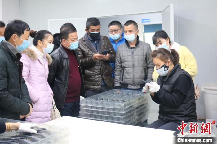 南县工厂招聘最新信息及深度分析与个人观点分享