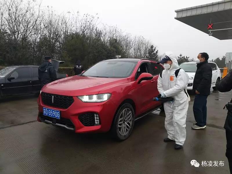 张西林最新观点论述摘要