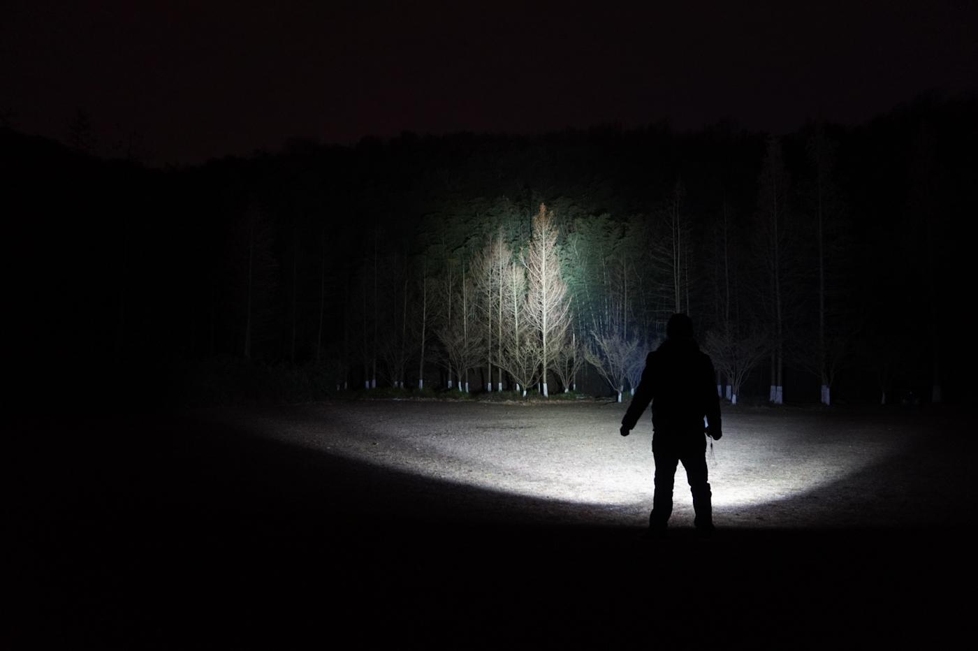 掌上宝重磅更新揭秘,最新消息一网打尽!✨