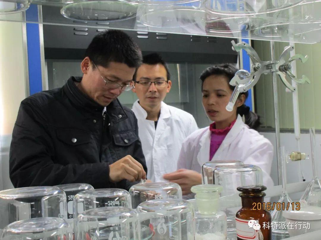 嘉应制药股票最新动态及行业趋势分析