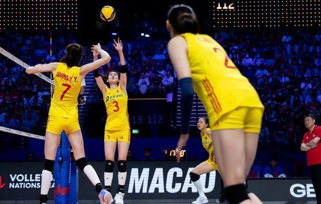 2024新澳门天天开好彩大全,统计数据详解说明_KKF50.133时尚版