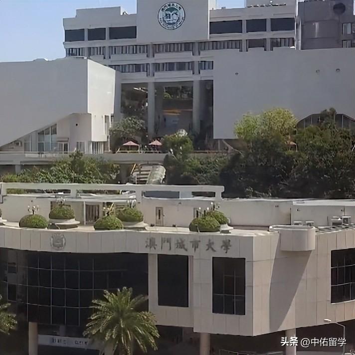 2024新澳门天天开好彩大全,统计数据详解说明_KKF50.133时尚版