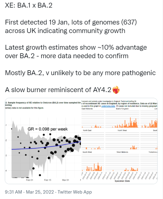 2024年11月份新病毒头晕,创新策略设计_IOK29.900按需版