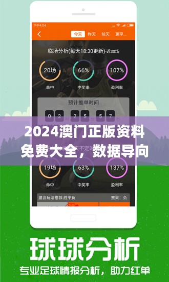2024澳门精准正版免费大全涵盖了广,系统分析方案设计_JCP29.277试点版