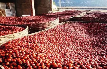 今日全国红枣最新价格概览,踏上红枣之旅,寻找内心平静之路