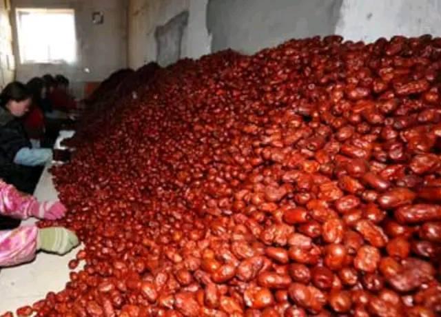 今日全国红枣最新价格概览,踏上红枣之旅,寻找内心平静之路