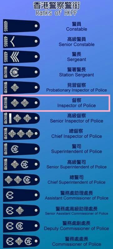 2024年新奥开奖结果如何查询,设计规划引导方式_KPL49.235见证版