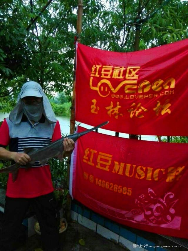 红豆社区玉林论坛最新动态,发展脉络与影响追溯