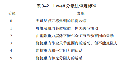 最新肌力分级标准,背景、发展与当下时代的重要性解析