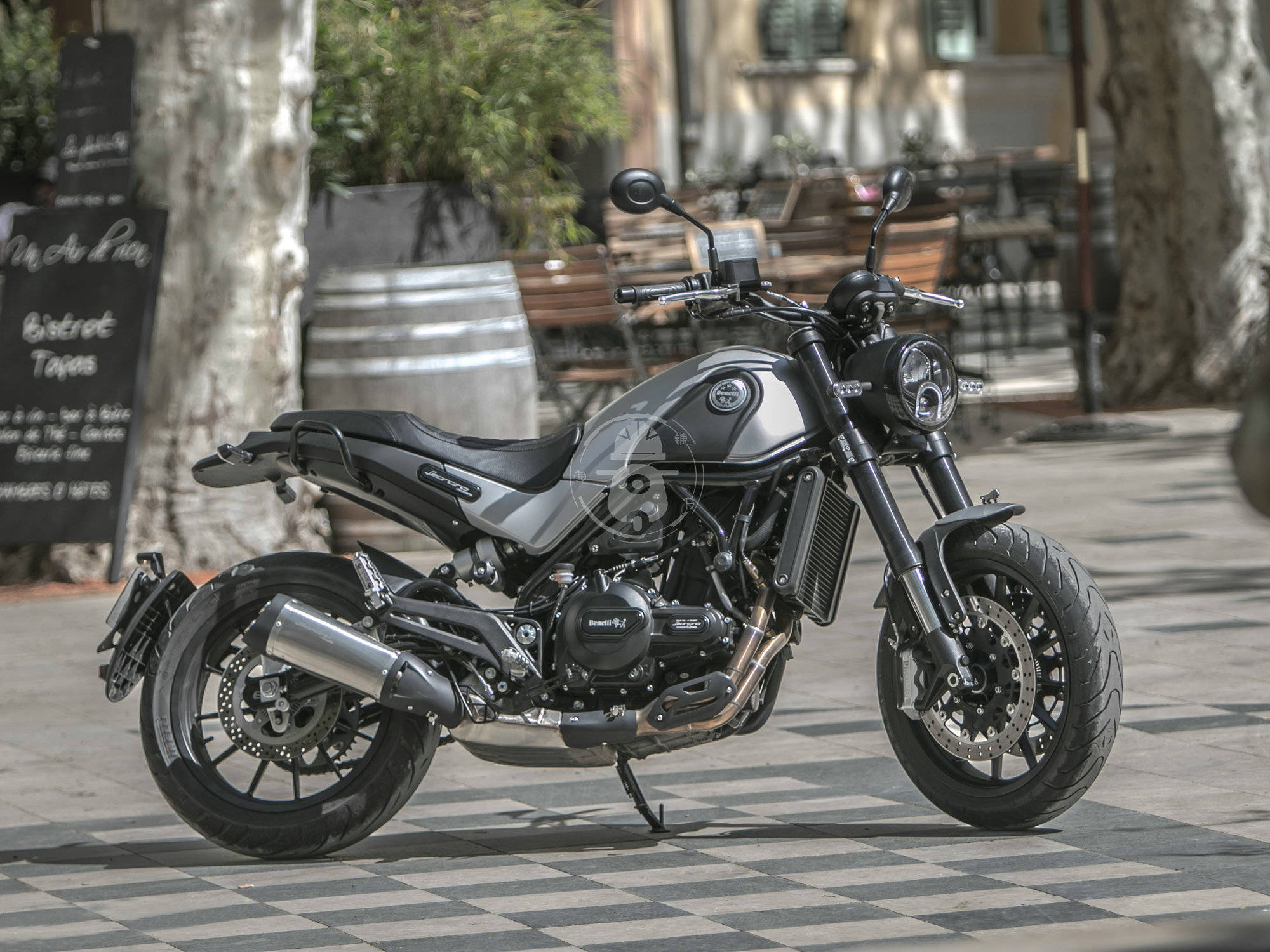 贝纳利幼狮500最新动态，变化中学习，自信塑造未来