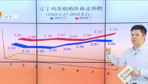 最新专家鸡蛋价格预测,励志之旅中的学习变化与自信成就之路