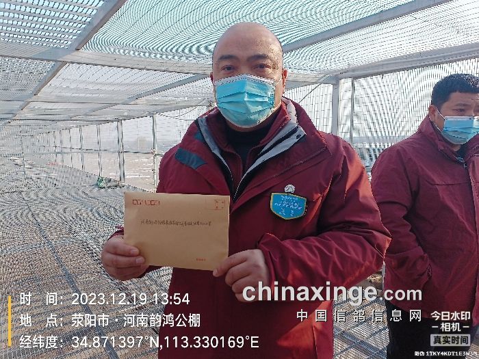 漯河信鸽协会最新赛事,飞翔梦想与荣耀见证