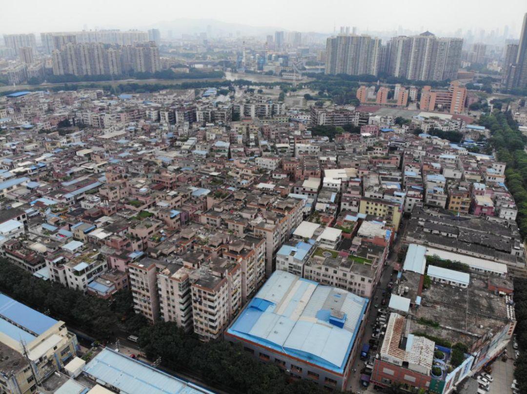 大坦沙岛改造新篇章,日常与友情的幸福小确幸