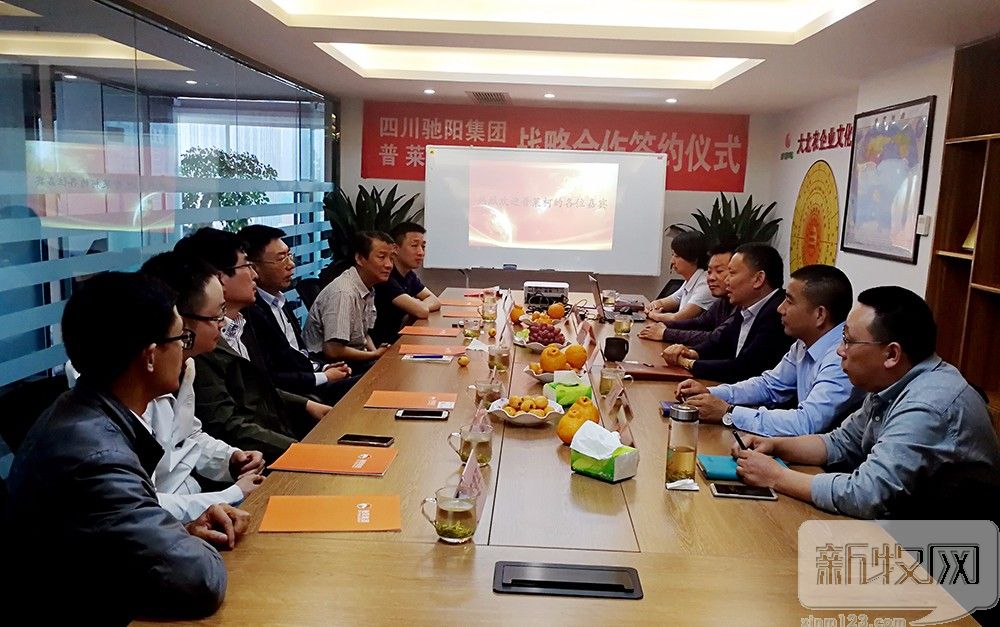 驰阳集团引领科技新时代,重塑未来潮流的先锋力量