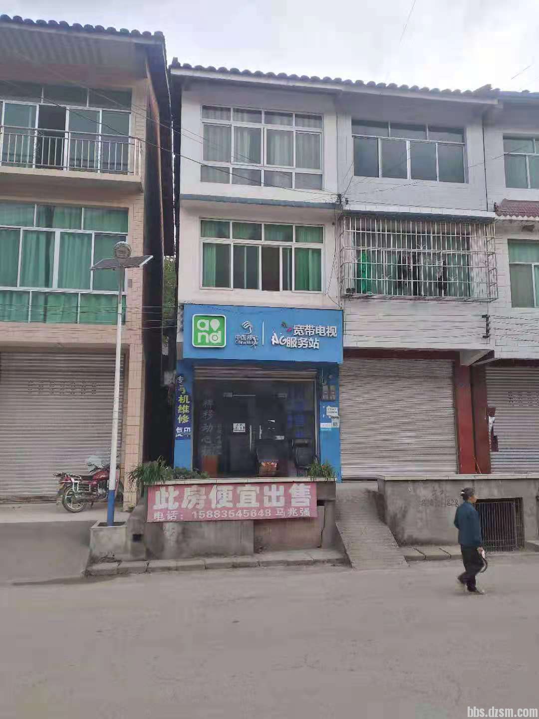 青川最新房屋出租信息全面概览