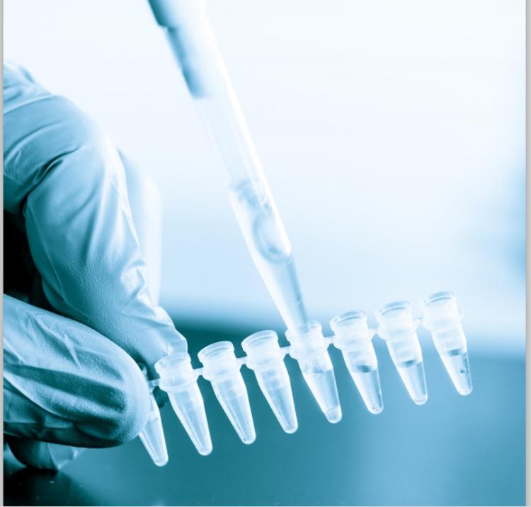 东音股份铸就辉煌成就，引领行业前行，最新消息速递