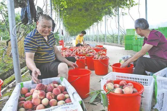 成新蒲双流段最新规划,自然美景的探索之旅