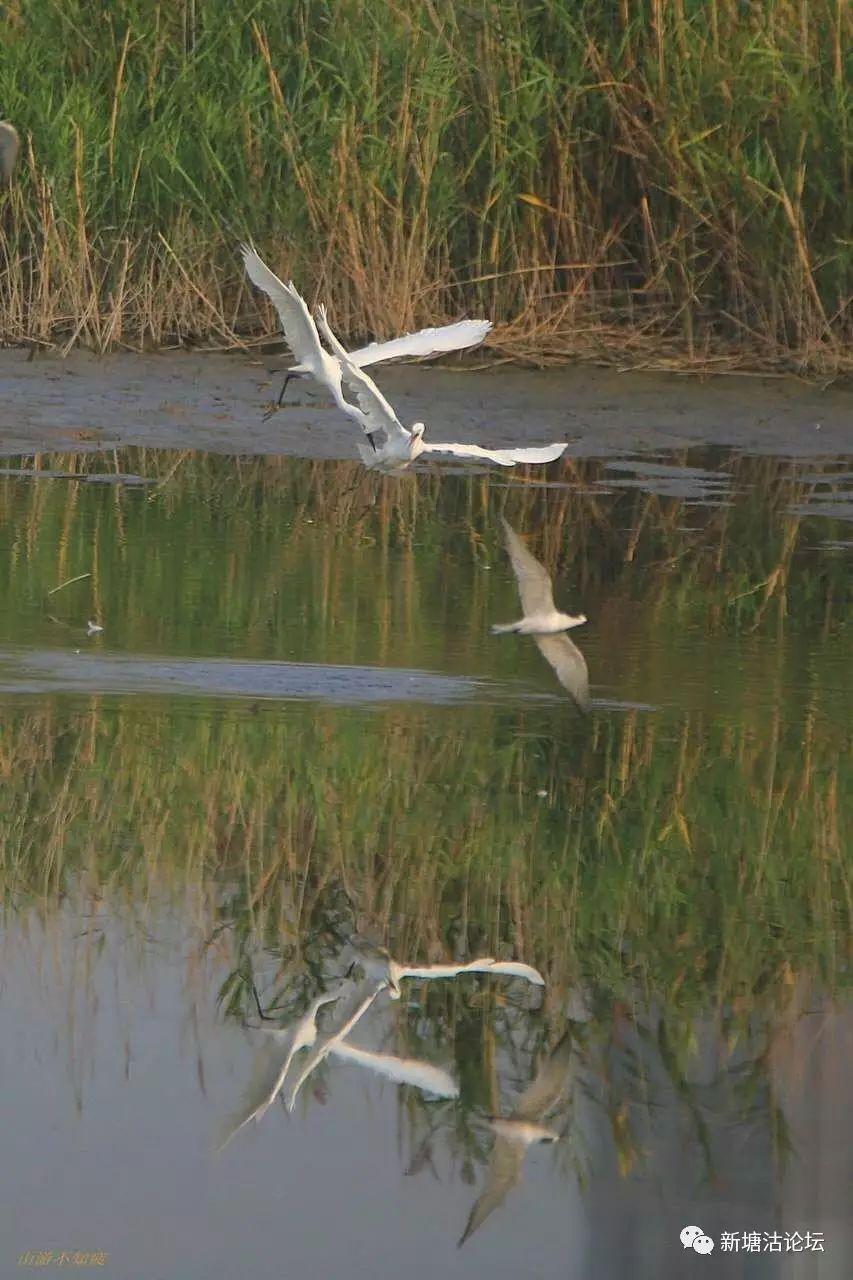 塘沽小梁子最新动态，变化中的学习力量，自信与成就感的源泉
