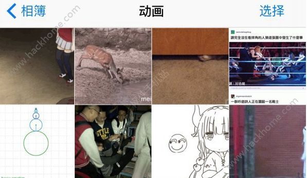 最新恋老相册图片,岁月之美的深度解读与更新