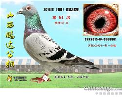 山西绵山公棚最新信息揭秘,高科技产品体验之旅