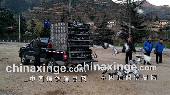 山西绵山公棚最新信息揭秘,高科技产品体验之旅