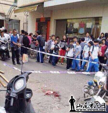 海丰新闻热点揭秘,杀人案与心灵绿色之旅的双重探寻