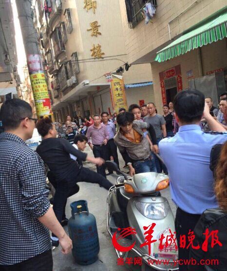 海丰新闻热点揭秘,杀人案与心灵绿色之旅的双重探寻