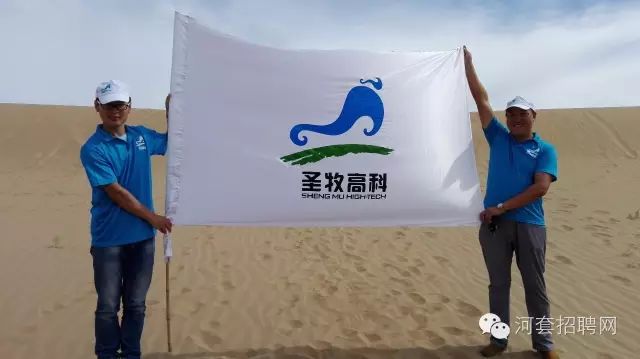 磴口圣牧最新招聘启事,小巷深处的职业机遇等你来探索!