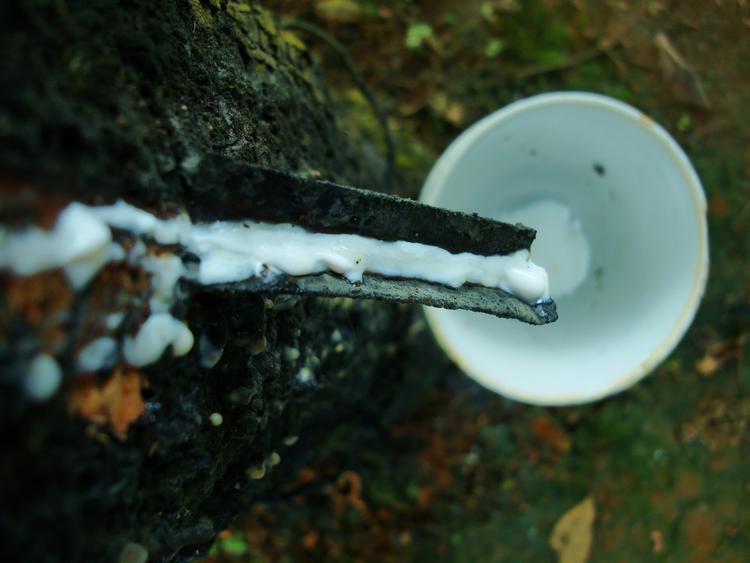 最新橡胶树电动割胶刀推荐,提升工作效率的利器!