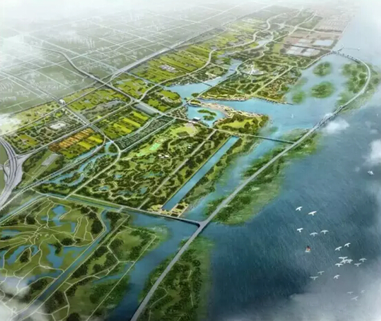 浦东合庆最新规划图揭秘,温馨日常的规划蓝图