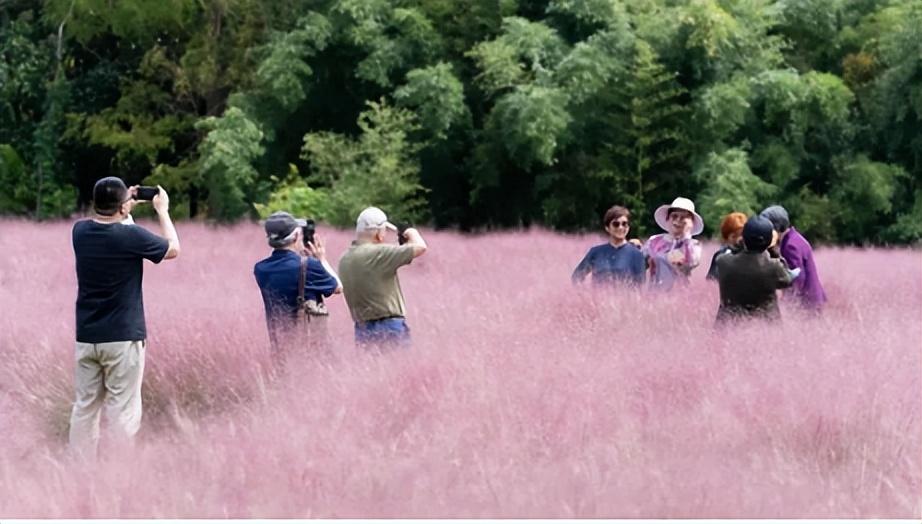 上海冷空气最新动态，气象界瞩目事件揭秘