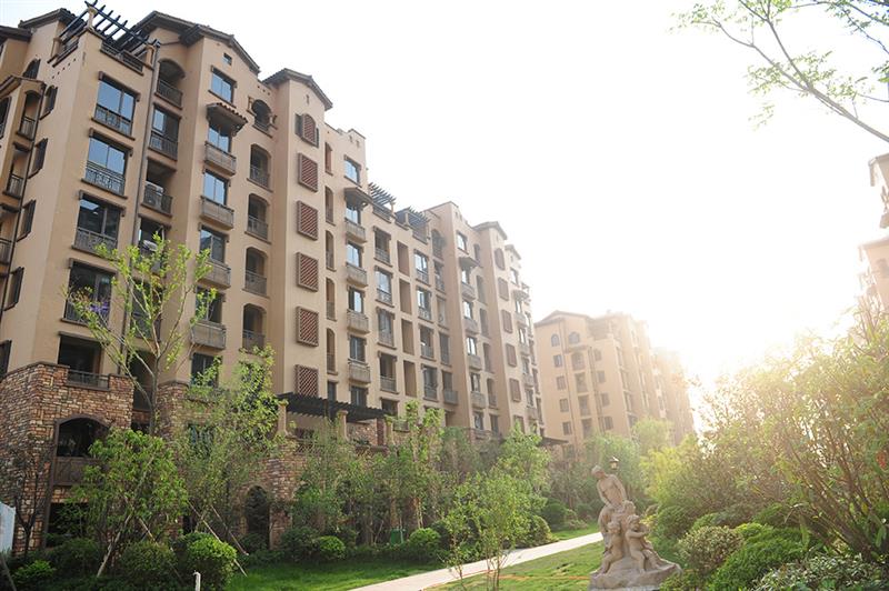 偃师橄榄城最新动态，邻里温情日常揭秘