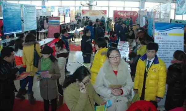 承德人才网最新招聘,友情碰撞梦想,温馨求职之旅启动