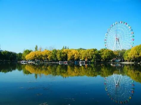 呼市西岸国际最新动态更新