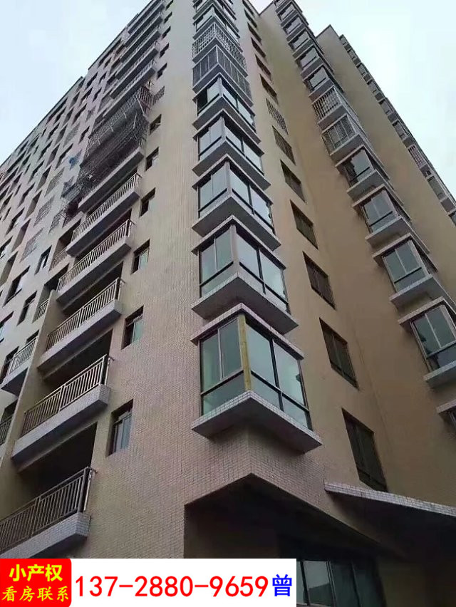 公明小产权房，最新价格揭秘与奇妙旅程探索