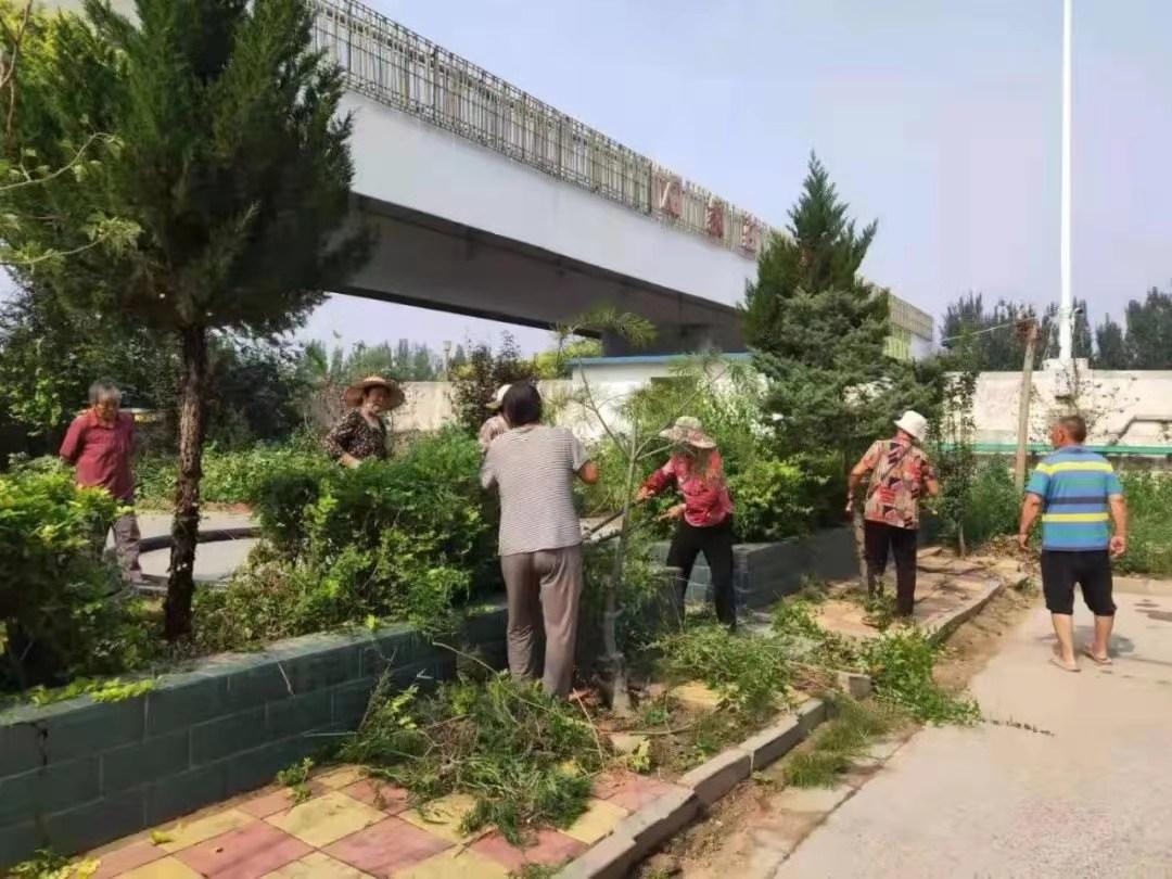 正定拆违建行动持续进行,共建美好家园的坚定行动最新消息