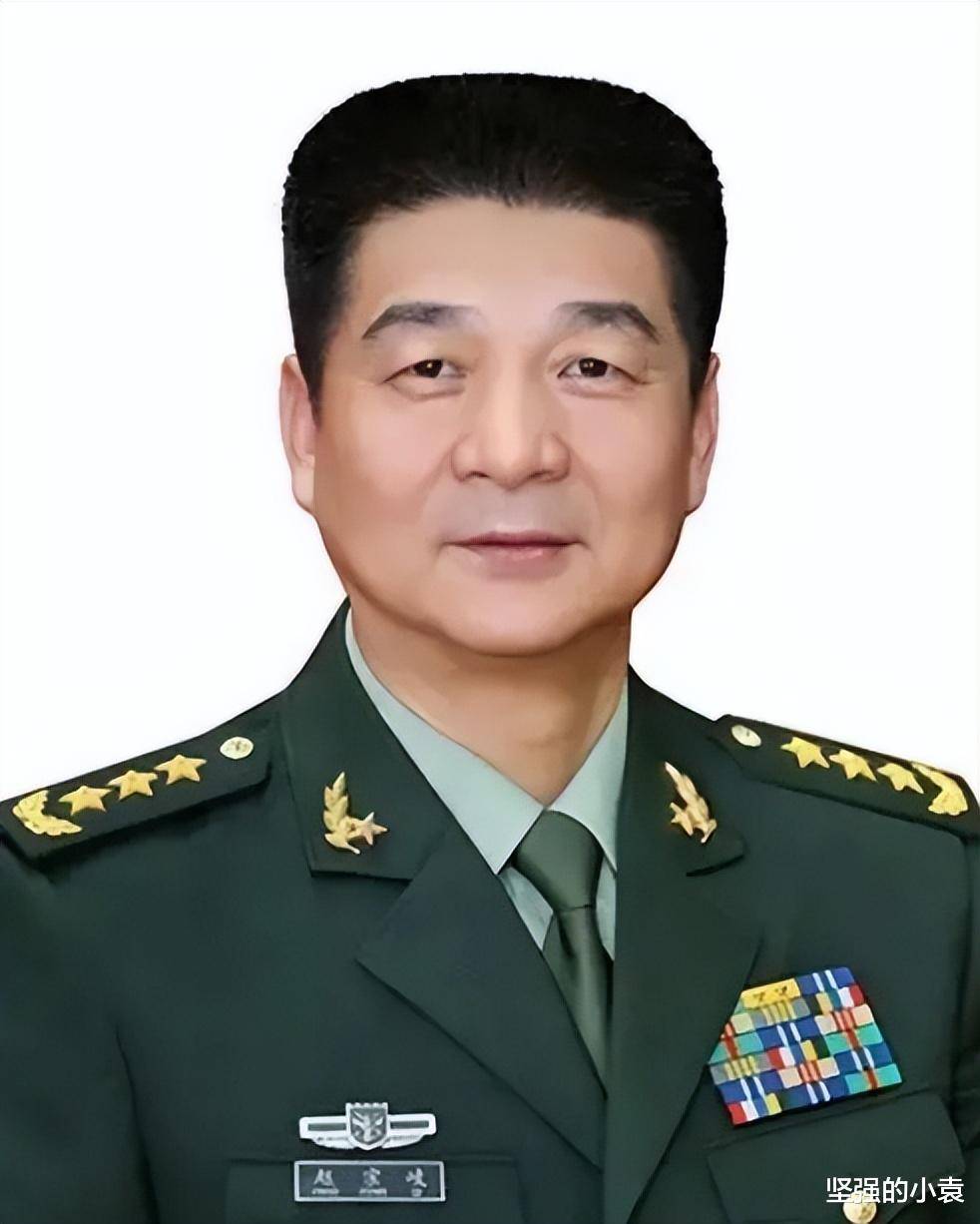 复原军官最新动态,温馨日常故事揭晓