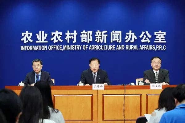 峨眉今日新闻快报,最新消息汇总